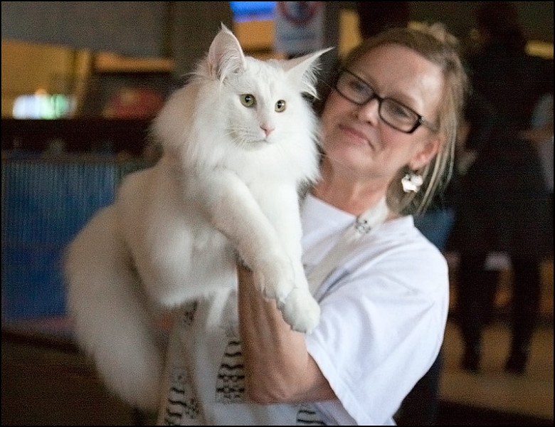 Wonderwoods Easy Rider 2.jpg - Wonderwoods Easy Rider